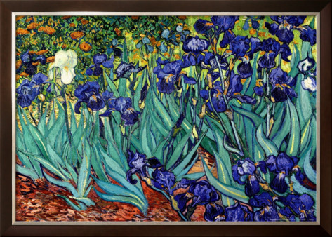 Irises, Saint - Remy - Vincent Van Gogh Paintings [V130315P00009] - $95 ...