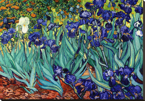 Irises, Saint-Remy,Shop Van Gogh's oil paintings reproduction