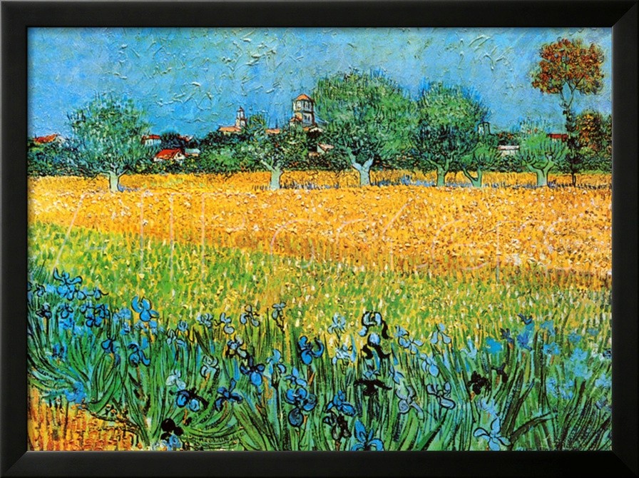 View of Arles with Irises,Shop Van Gogh's oil paintings reproduction